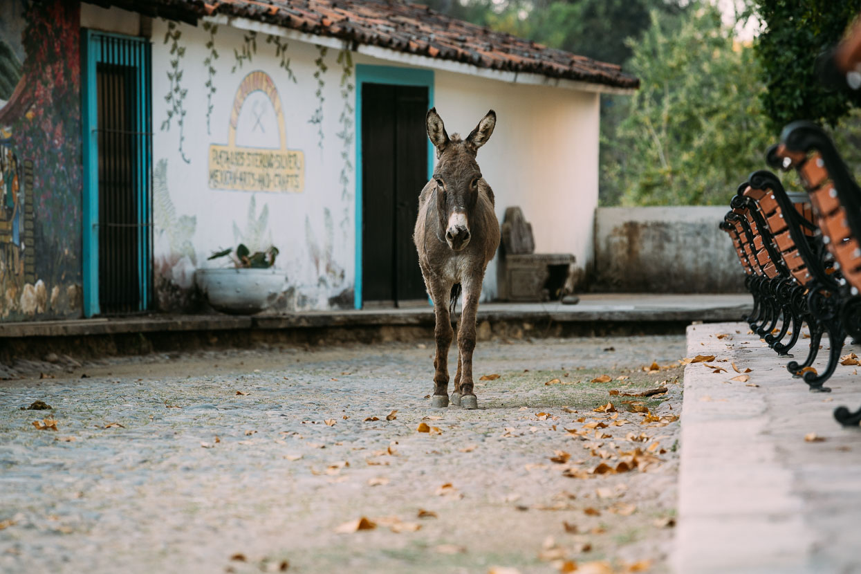 Mexico: Mazatlan – Durango, Highlux Photography