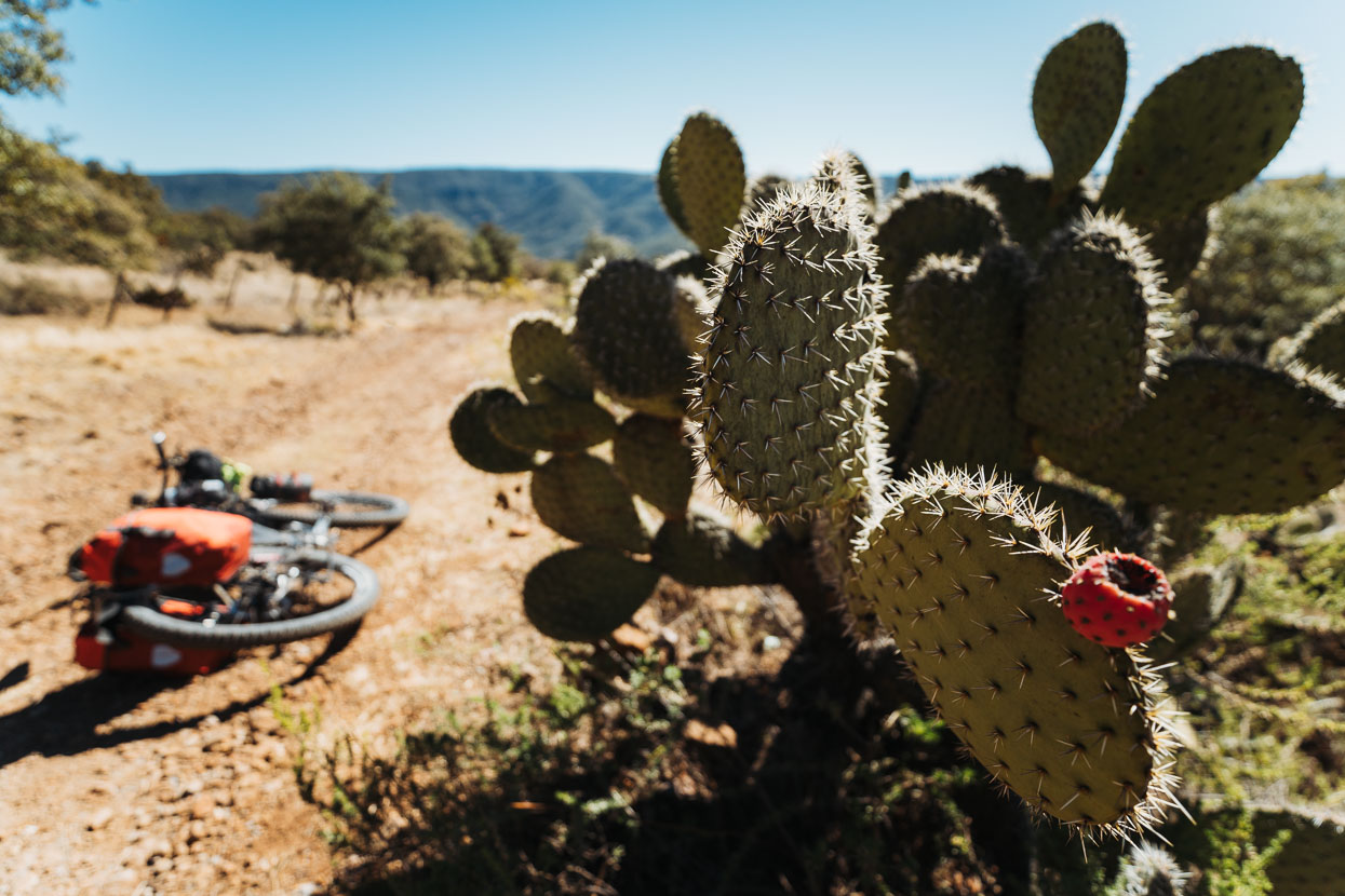 Mexico: Durango – Zacatecas, Highlux Photography