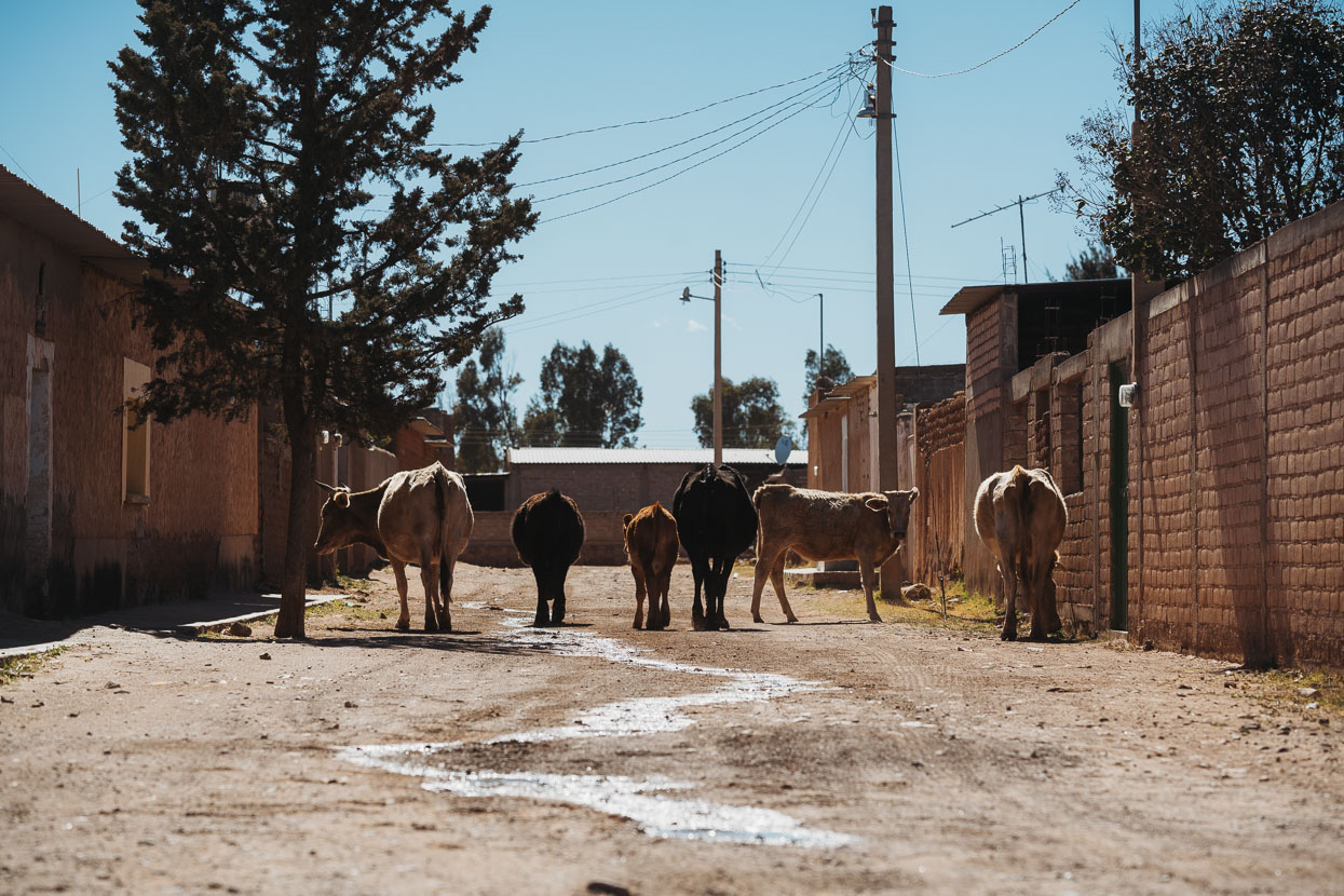 Mexico: Durango – Zacatecas, Highlux Photography