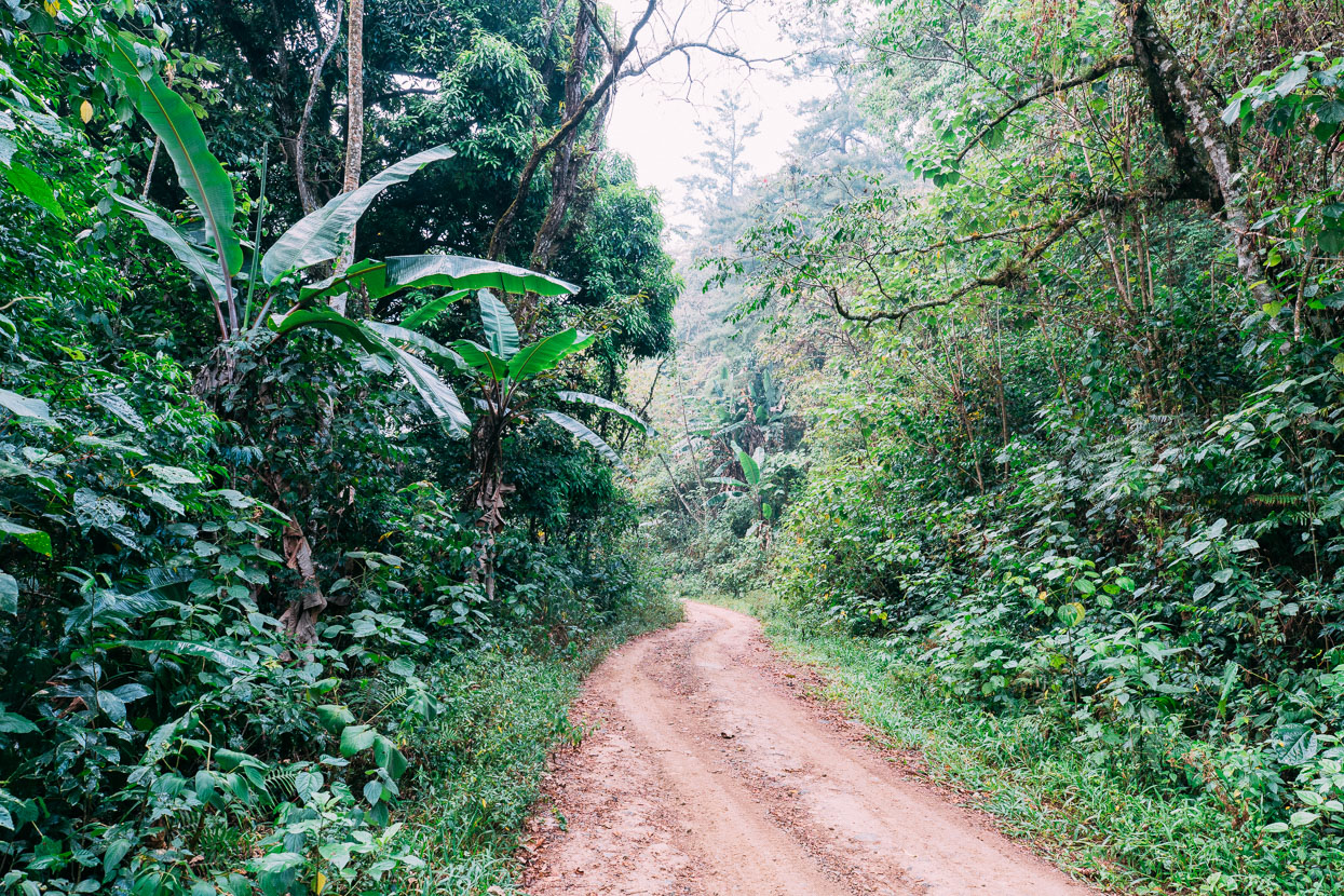 Mexico: Oaxaca to Palomares, Highlux Photography