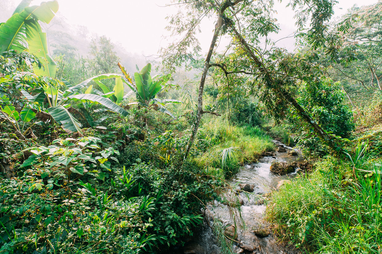 Mexico: Oaxaca to Palomares, Highlux Photography