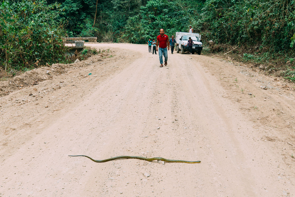 Mexico: Oaxaca to Palomares, Highlux Photography