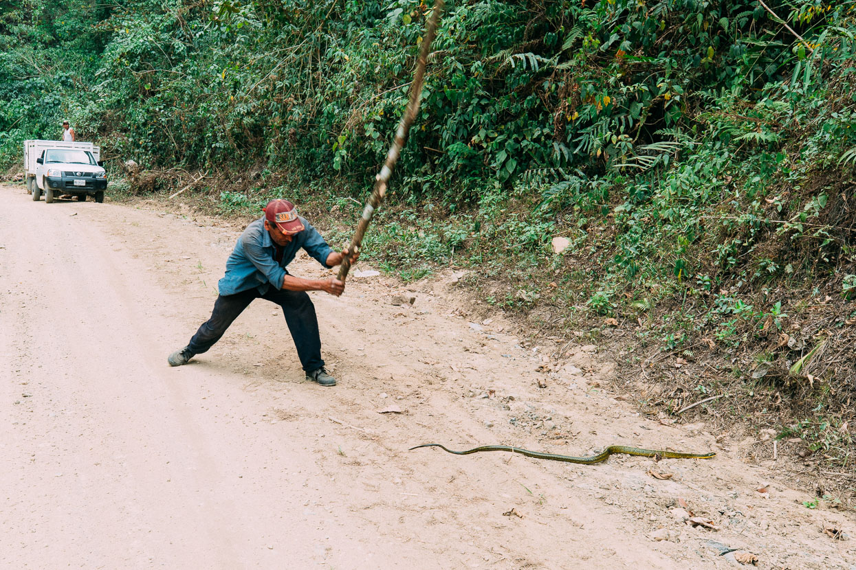 Mexico: Oaxaca to Palomares, Highlux Photography