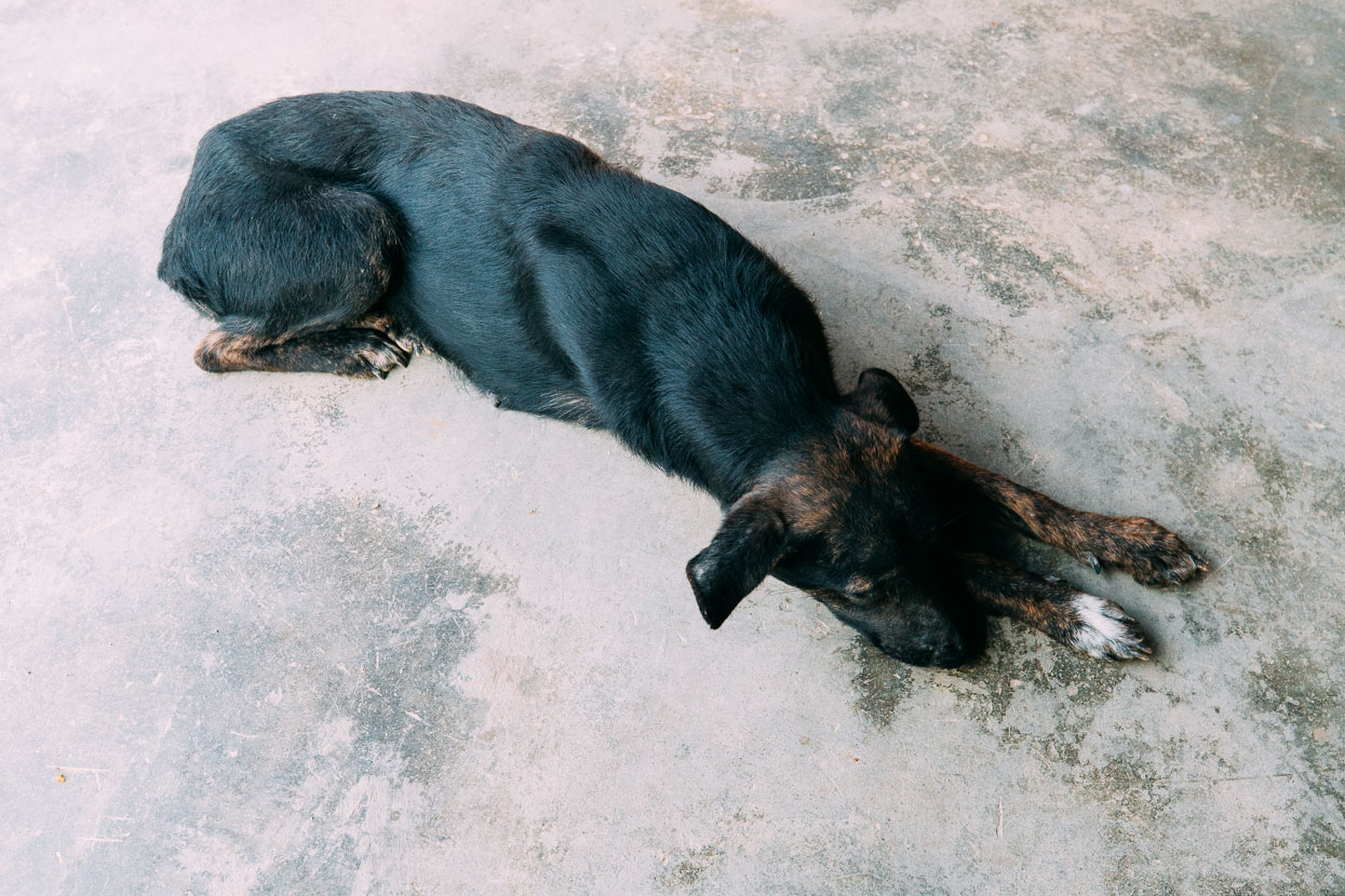 Mexico: Oaxaca to Palomares, Highlux Photography