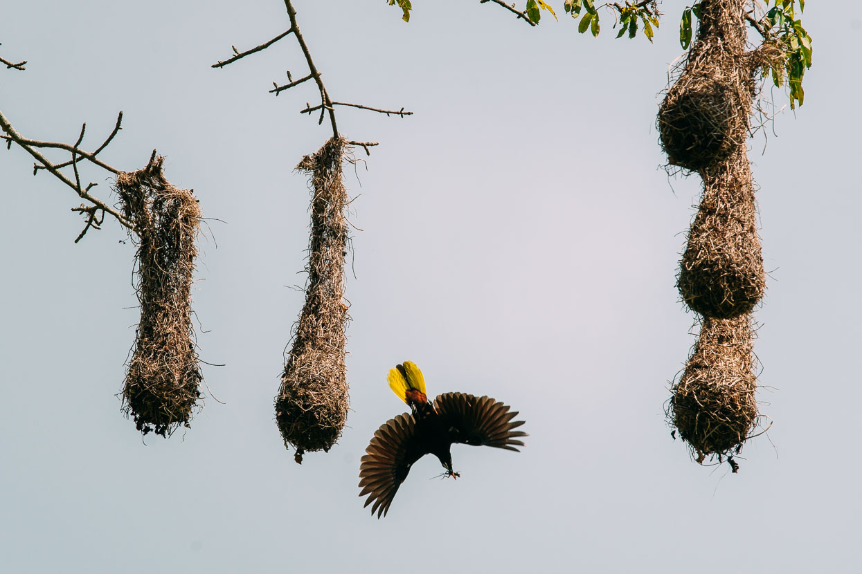 Mexico: Palomares &#8211; San Cristobal, Highlux Photography