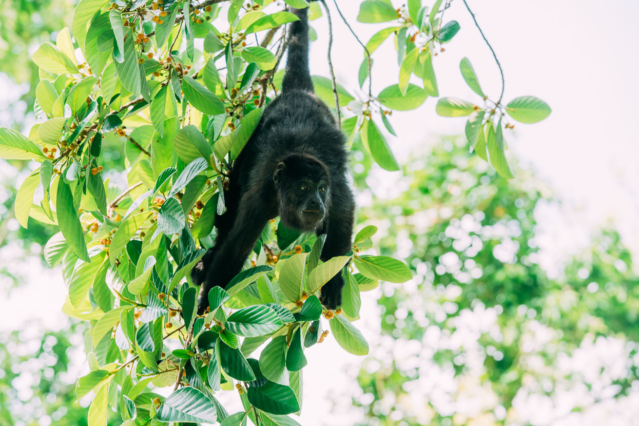 San Cristobal, Mexico – Flores, Guatemala, Highlux Photography