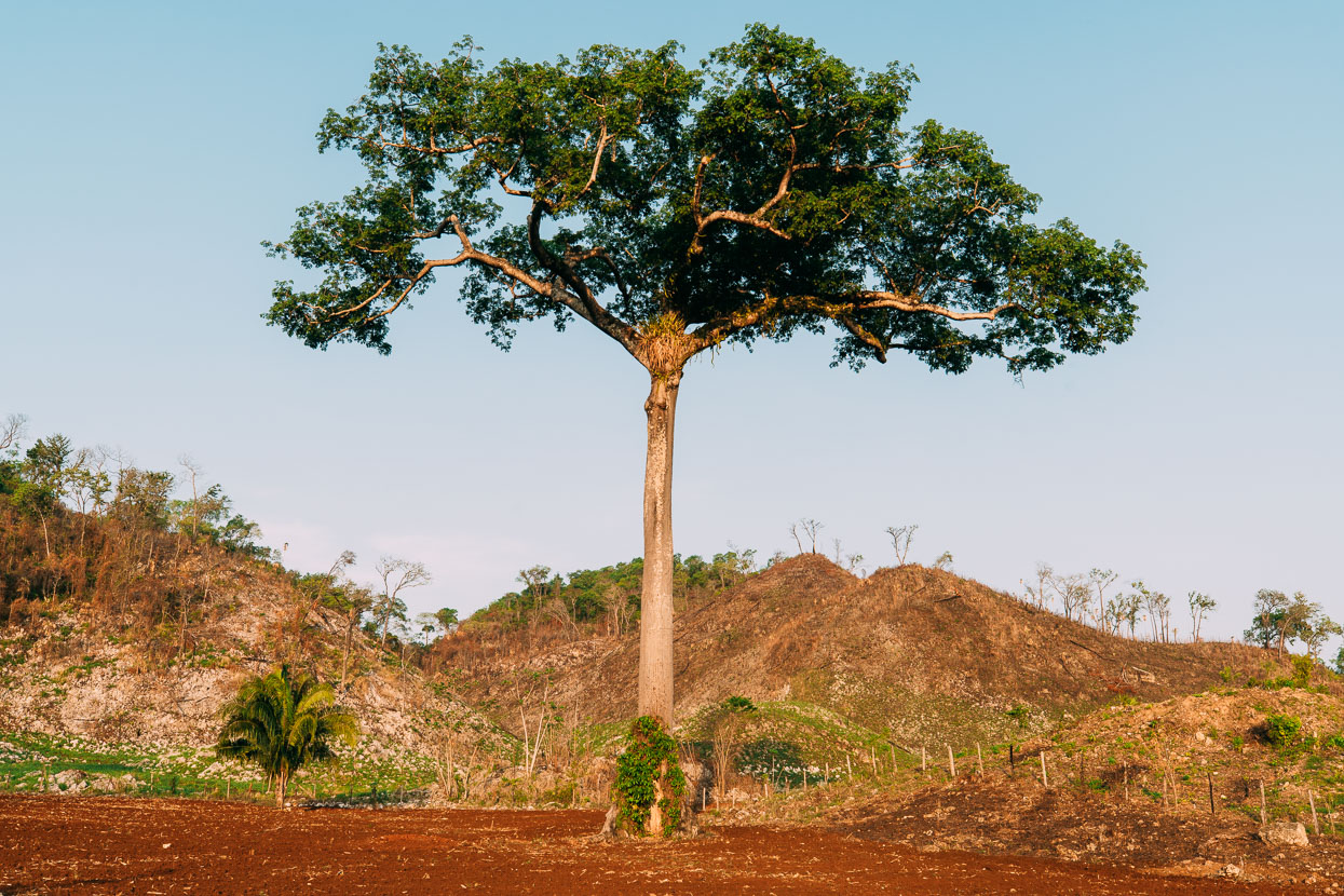 San Cristobal, Mexico – Flores, Guatemala, Highlux Photography