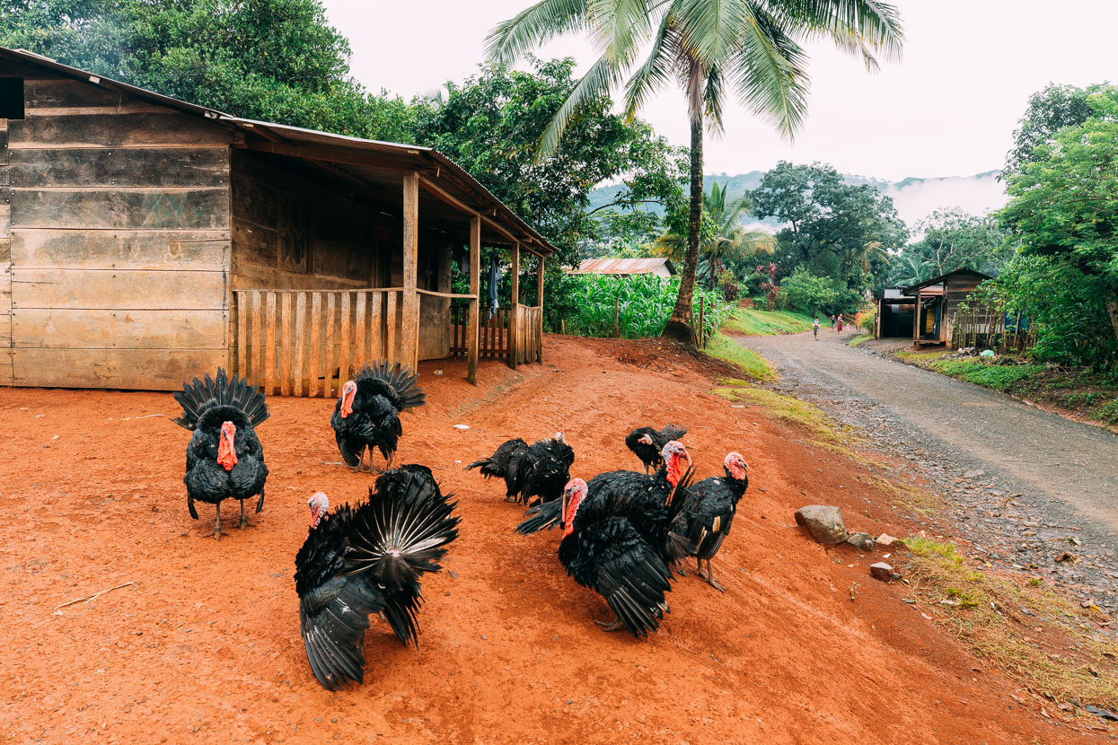 Hopkins, Belize – Lanquin, Guatemala, Highlux Photography