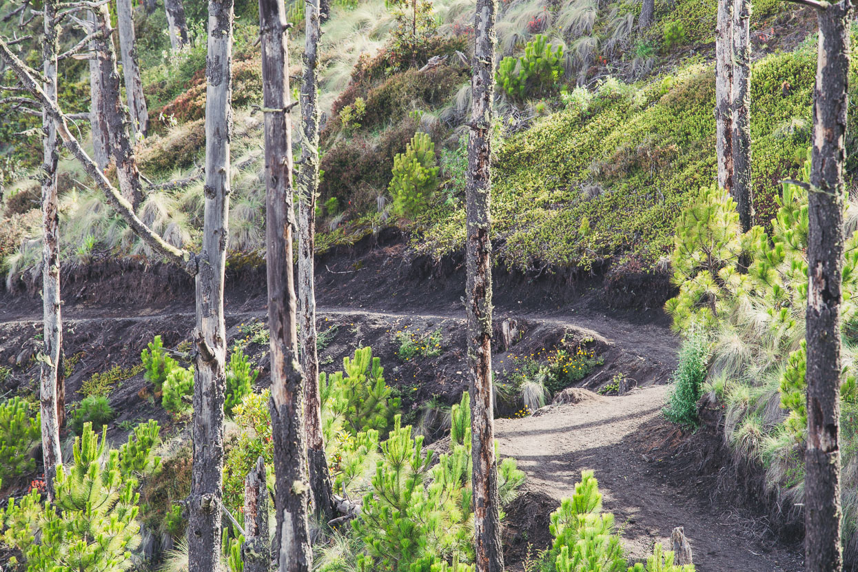 Climbing Volcán Acatenango, Highlux Photography