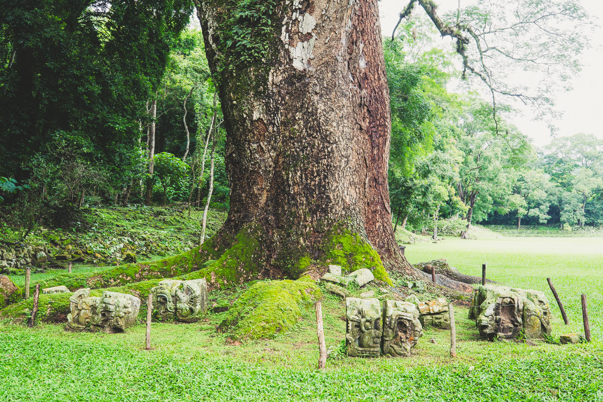 Antigua – Copan, Honduras, Highlux Photography