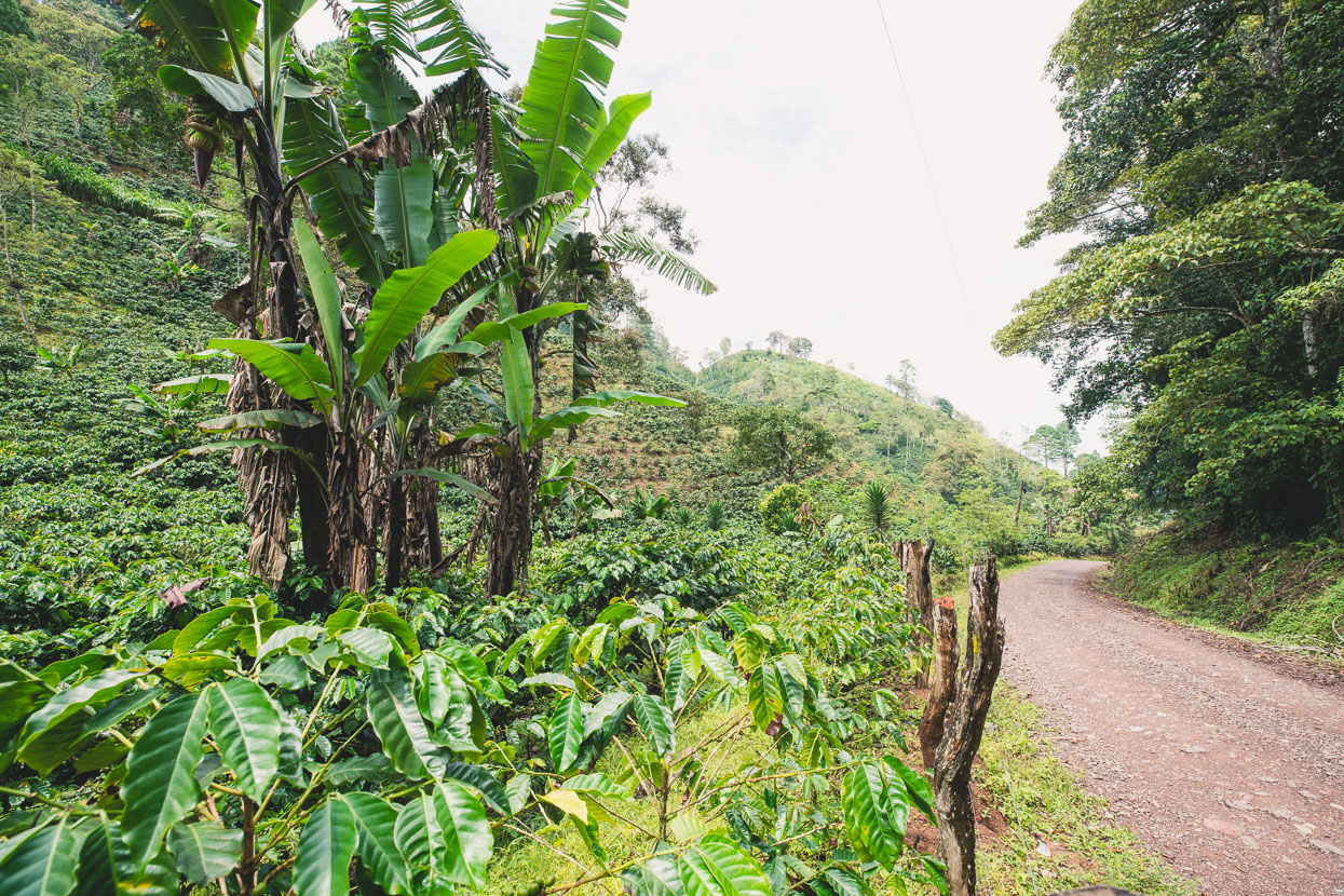 Honduras: Copan – La Ceiba, Highlux Photography