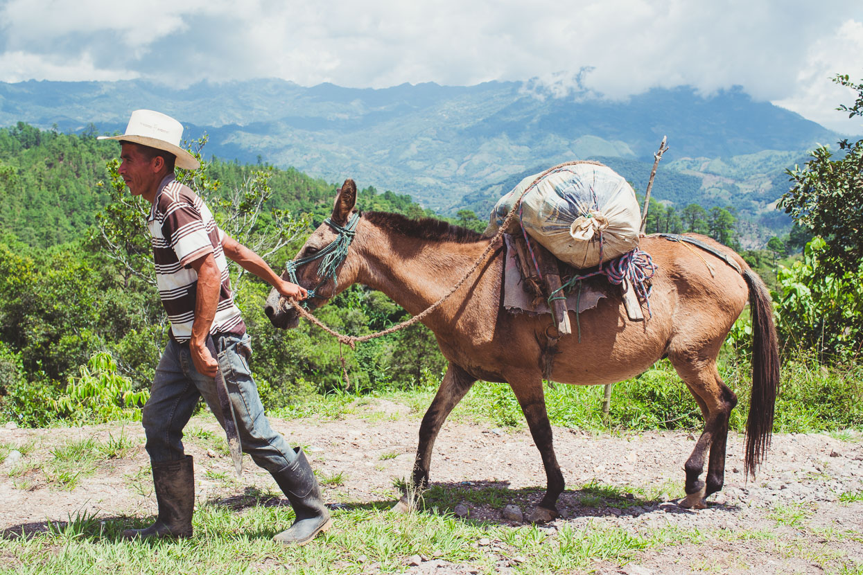 Honduras: Copan – La Ceiba, Highlux Photography