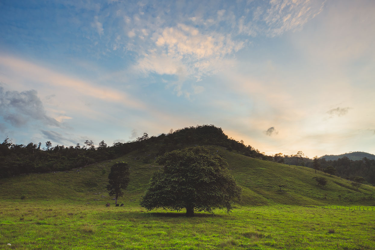 Honduras: Copan – La Ceiba, Highlux Photography