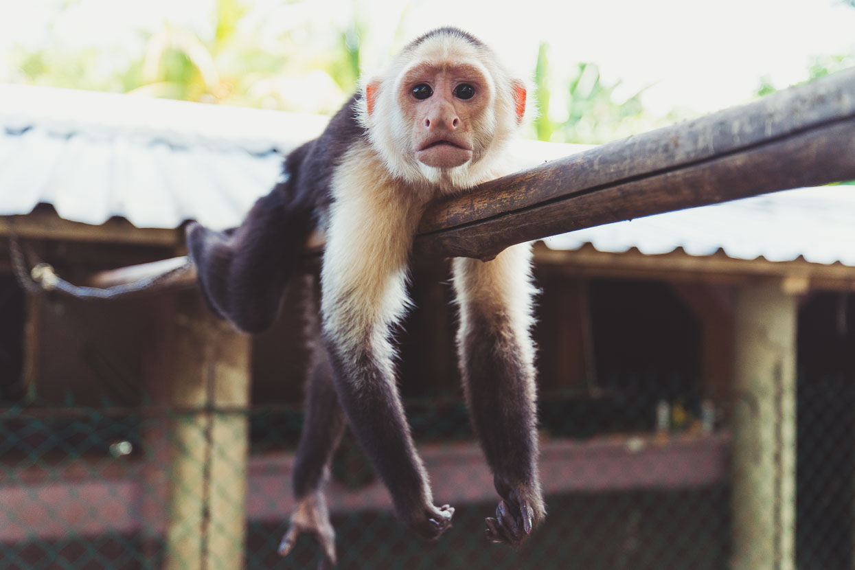 Honduras: La Ceiba – Catacamas, Highlux Photography