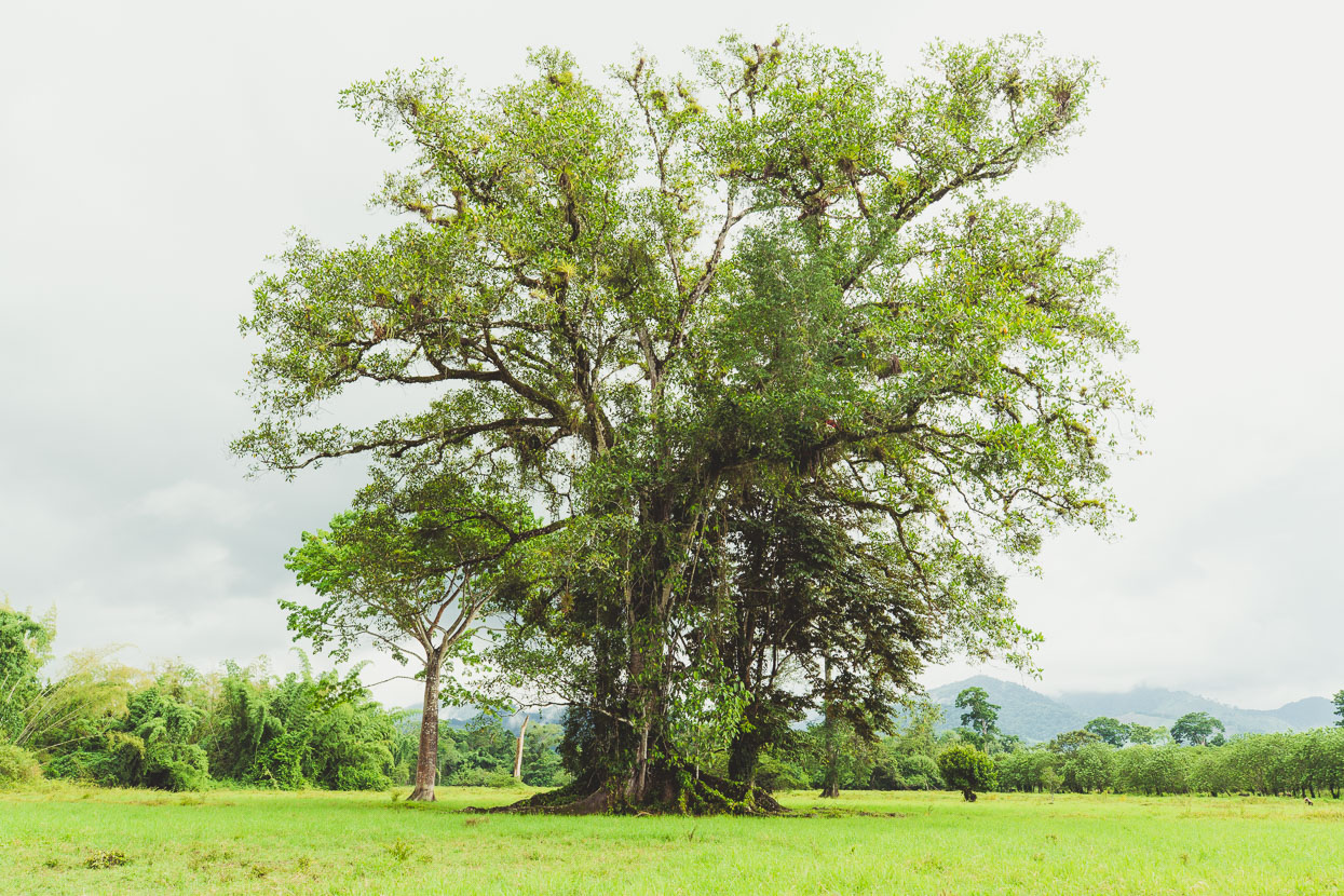 Honduras: La Ceiba – Catacamas, Highlux Photography