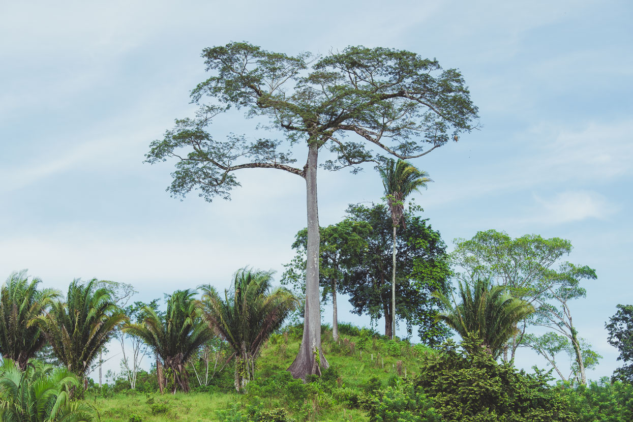 Honduras: La Ceiba – Catacamas, Highlux Photography