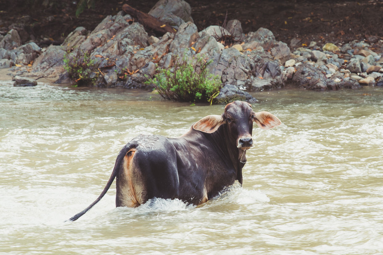 Honduras: La Ceiba – Catacamas, Highlux Photography