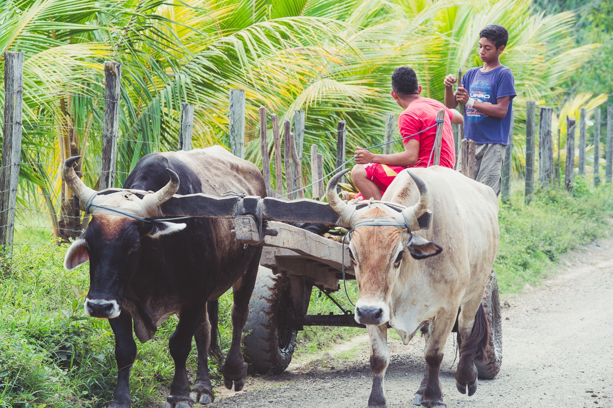 Honduras: La Ceiba – Catacamas, Highlux Photography