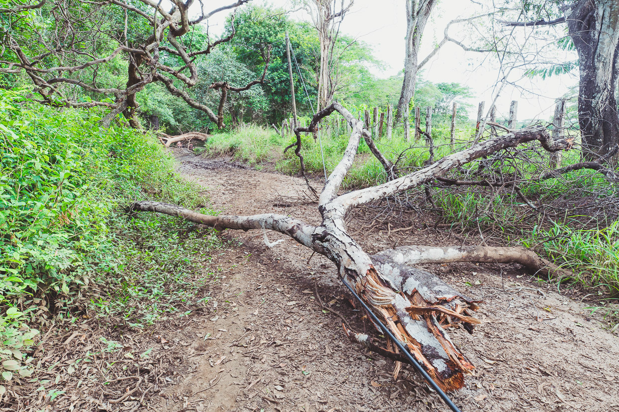 Costa Rica: The Nicoya Peninsula, Highlux Photography