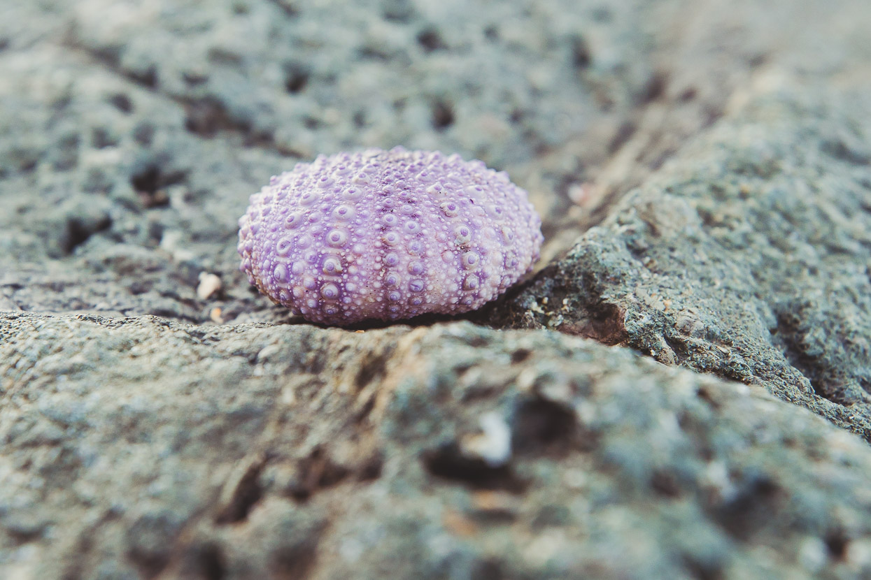 Costa Rica: The Nicoya Peninsula, Highlux Photography