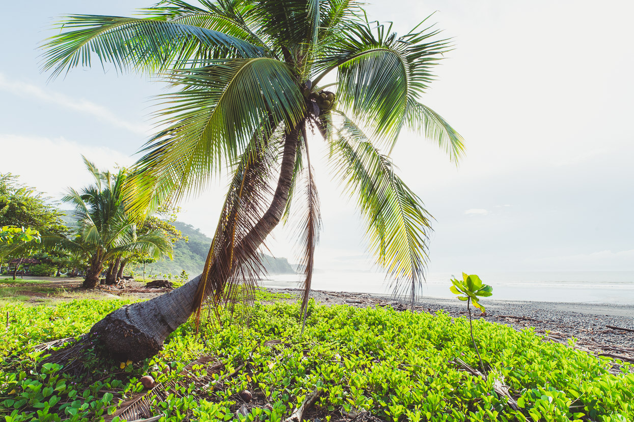 Costa Rica: The Nicoya Peninsula, Highlux Photography