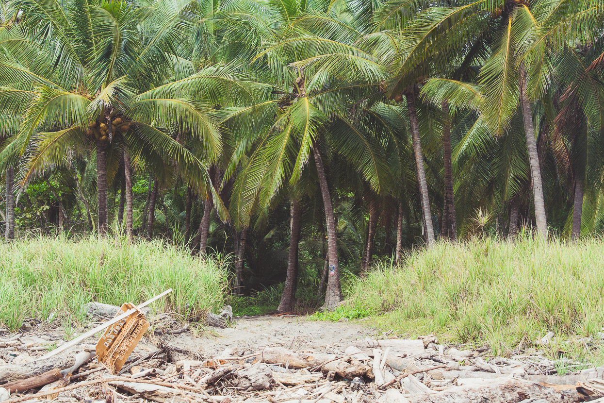 Costa Rica: The Nicoya Peninsula, Highlux Photography