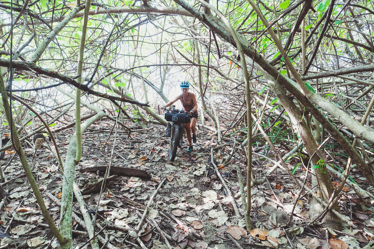 Costa Rica: The Nicoya Peninsula, Highlux Photography