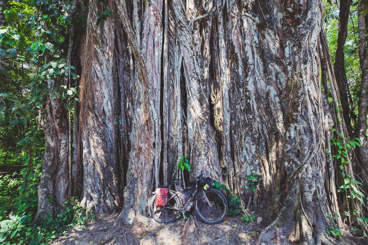 Costa Rica: The Nicoya Peninsula, Highlux Photography