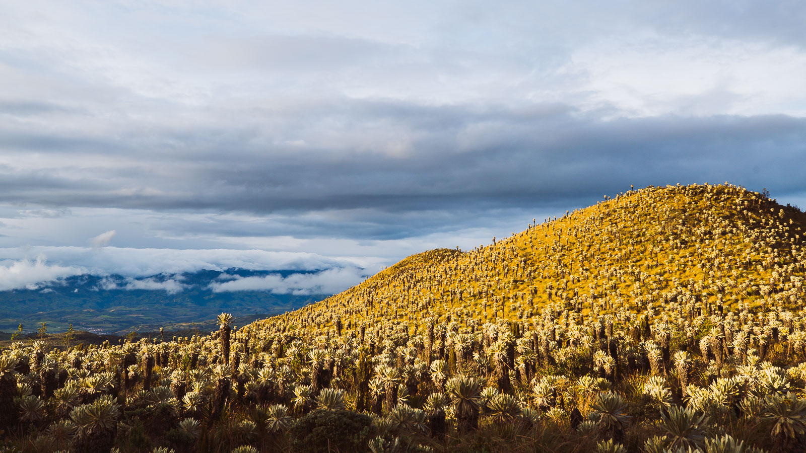 Ecuador: Tulcan – Otavalo