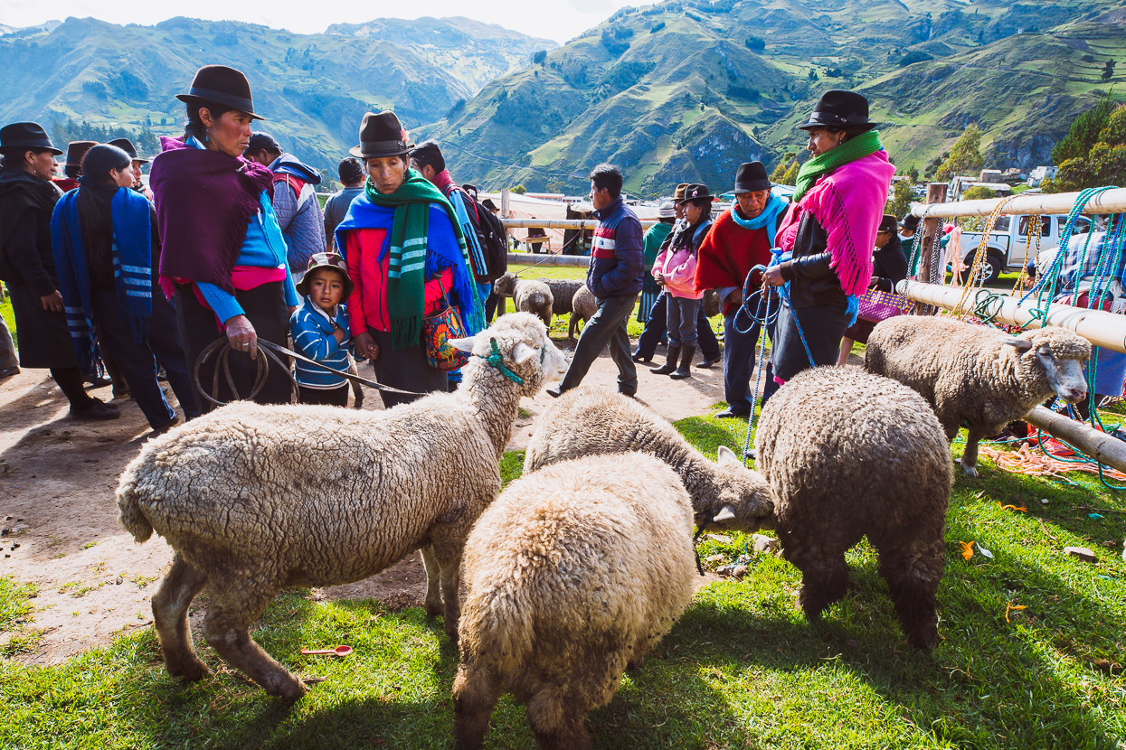 Ecuador: Lasso – Salinas, Highlux Photography