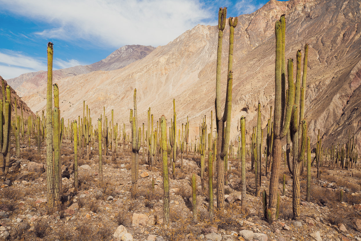 Perú Divide, Cones &#038; Canyons: Santa Rosa – Cotahuasi, Highlux Photography