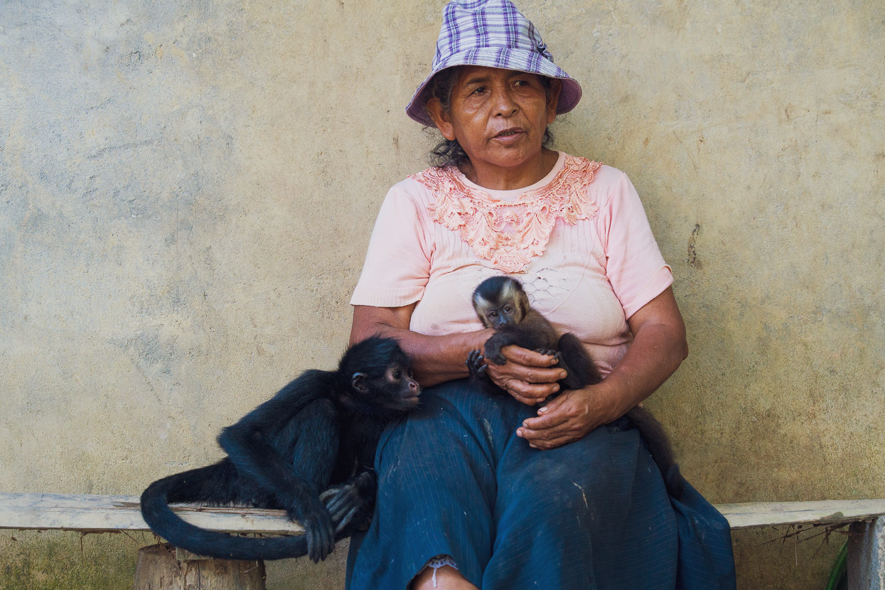Perú: The Madre de Dios Jungle, Highlux Photography