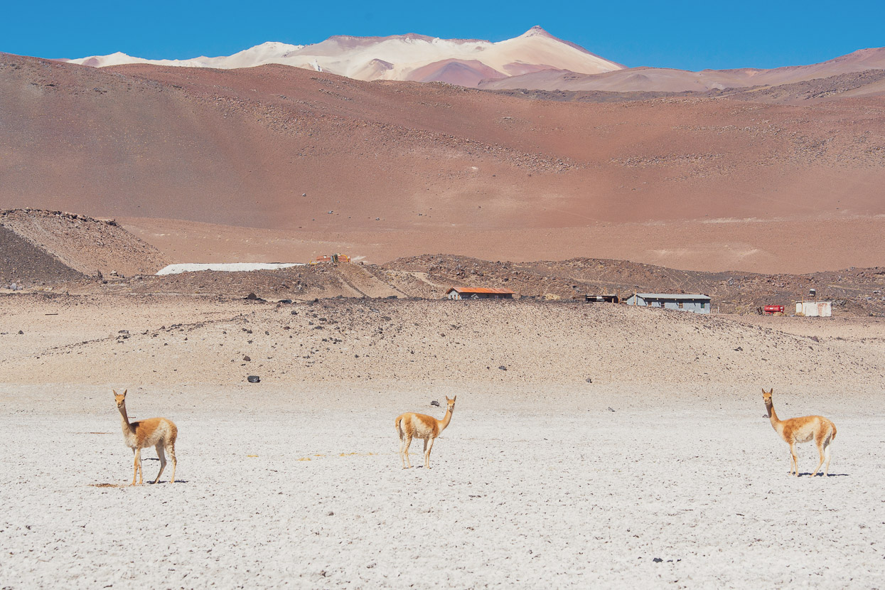 Chile/Argentina: San Pedro de Atacama – Fiambalá via Ruta de los Seis Miles, Norte, Highlux Photography