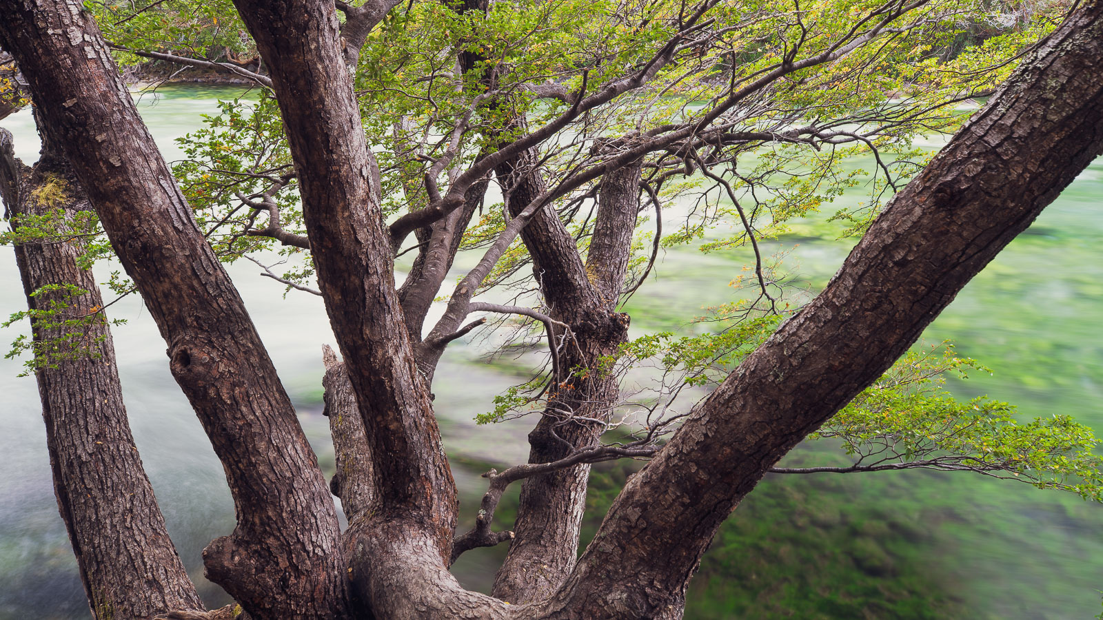 Argentina: Lago Puelo – Trevelin