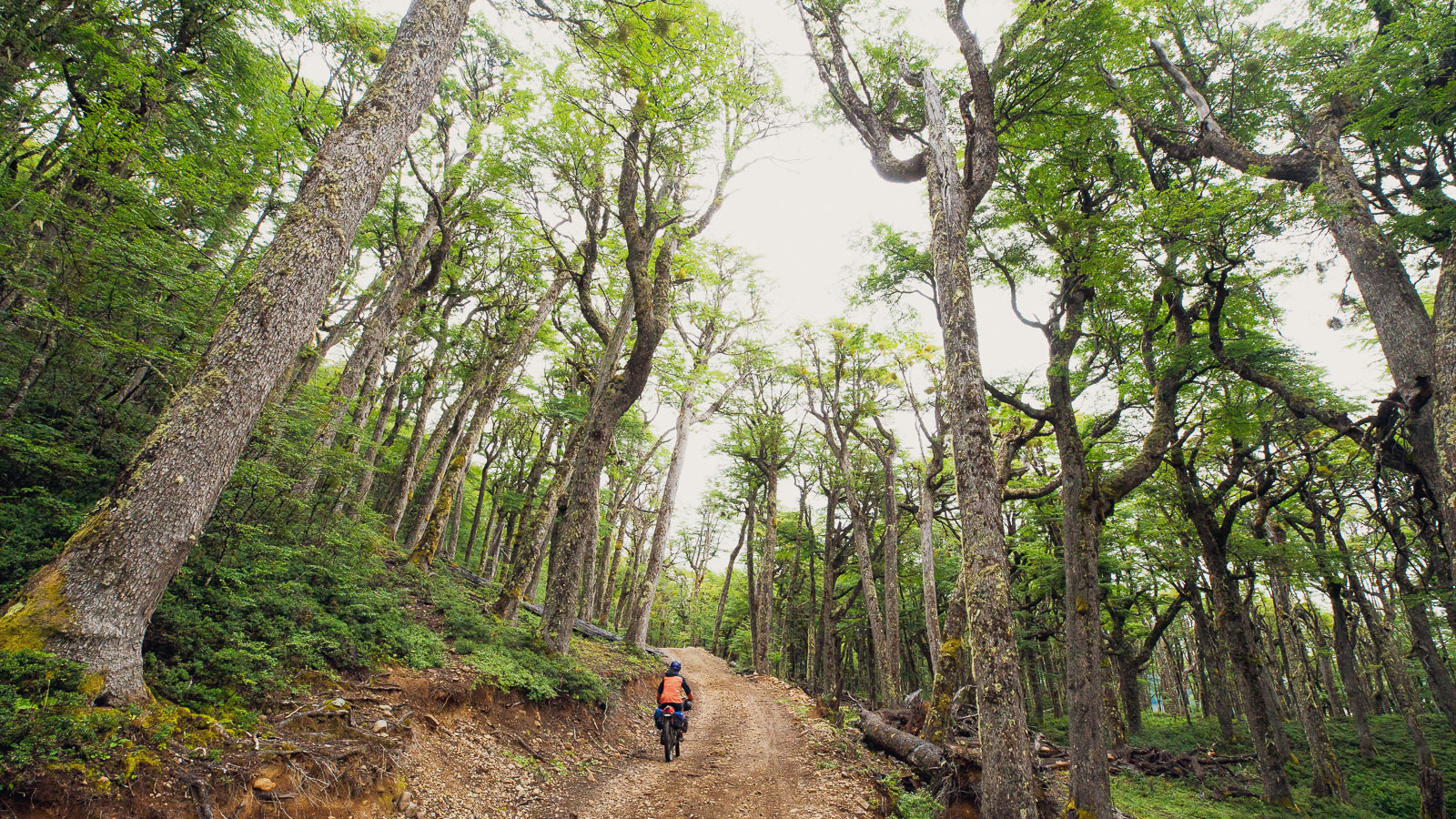 Argentina/Chile: Trevelin – Coyhaique via Paso Las Pampas