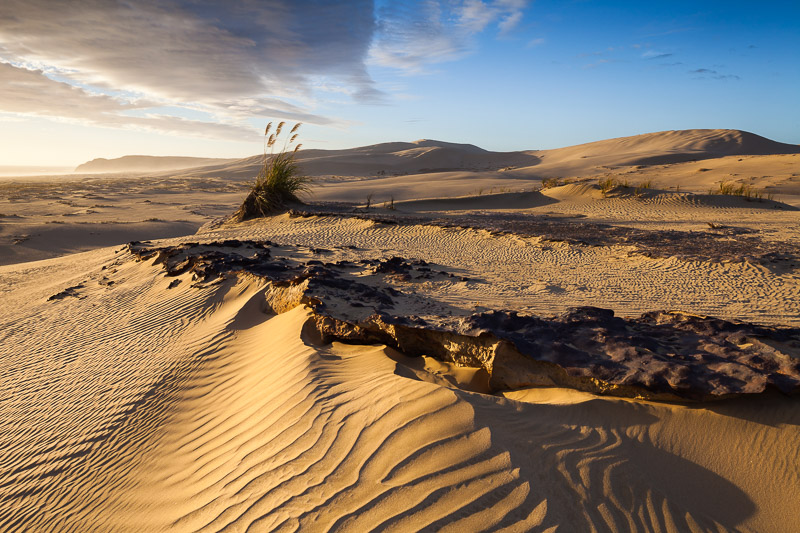 Ironstone and sand dunes, Te Paki Recreation Reserve, Northland