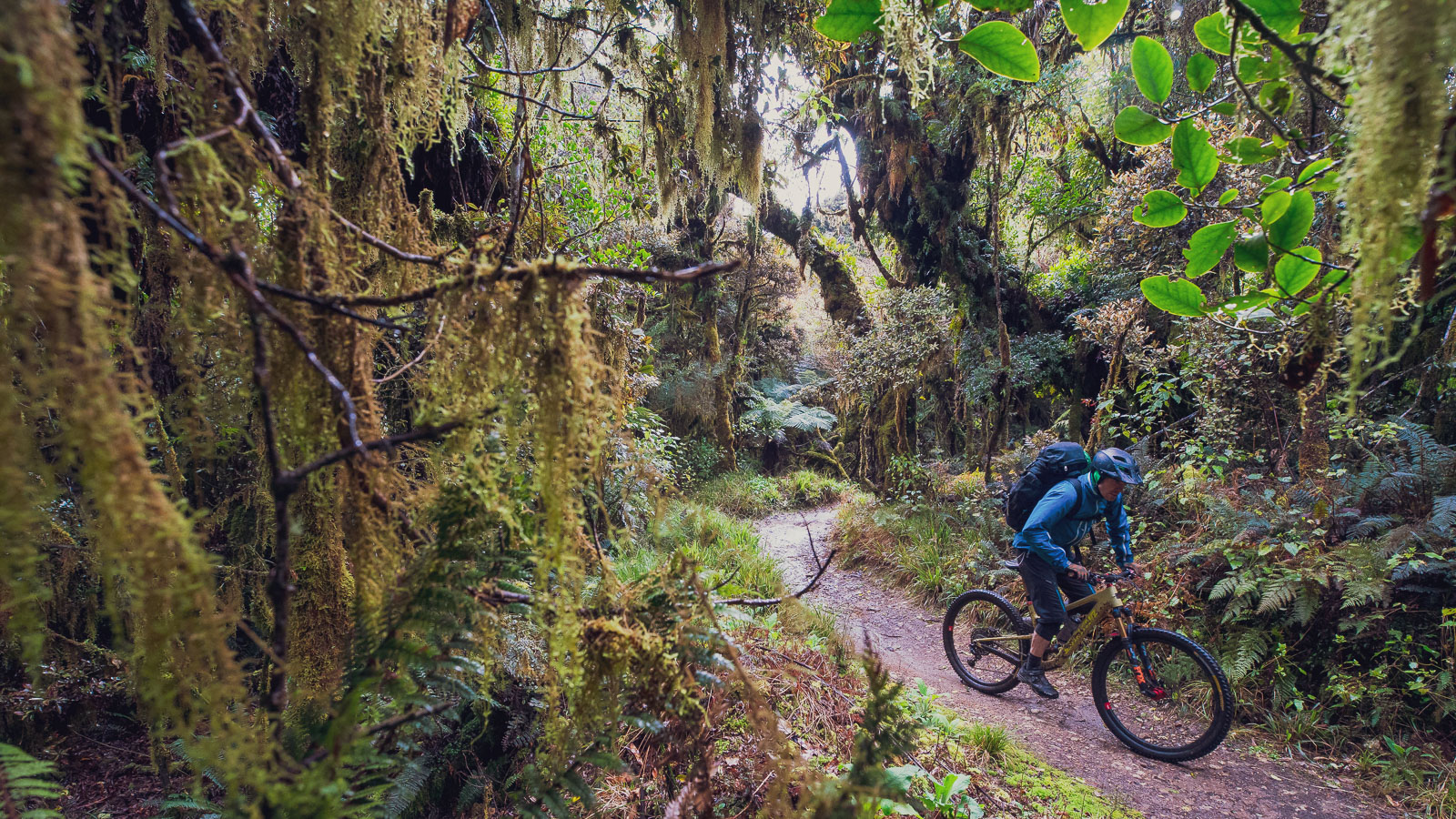 Back on the Road in New Zealand: Bikepacking Tauranga to Wellington