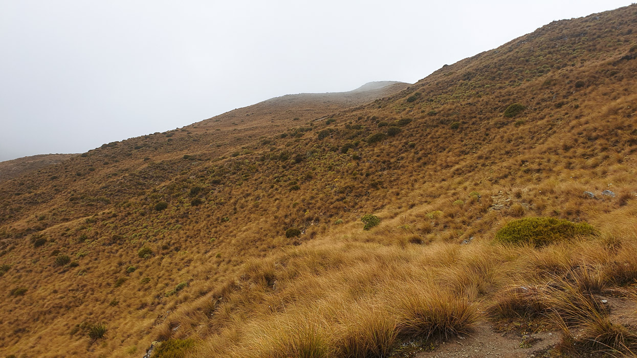 Tour Te Waipounamu 2021 Race Report, Highlux Photography
