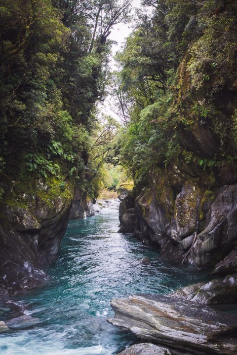 Tramping in the Toaroha, Mungo &#038; Kokatahi Catchments, West Coast, Highlux Photography