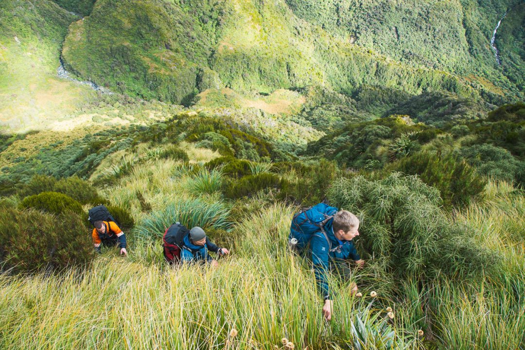 Tramping in the Toaroha, Mungo &#038; Kokatahi Catchments, West Coast, Highlux Photography