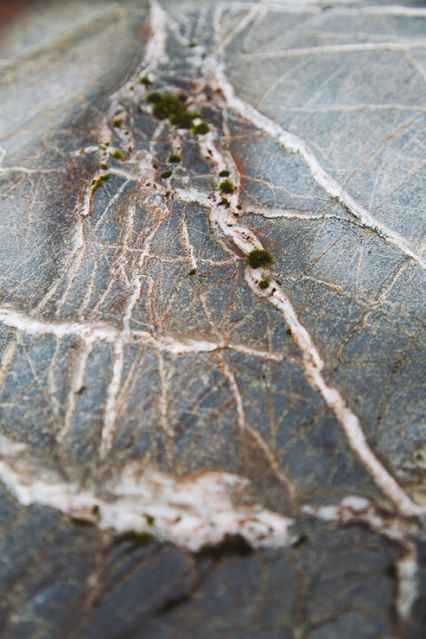 Tramping in the Toaroha, Mungo &#038; Kokatahi Catchments, West Coast, Highlux Photography