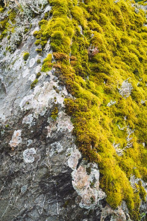 Tramping in the Toaroha, Mungo &#038; Kokatahi Catchments, West Coast, Highlux Photography