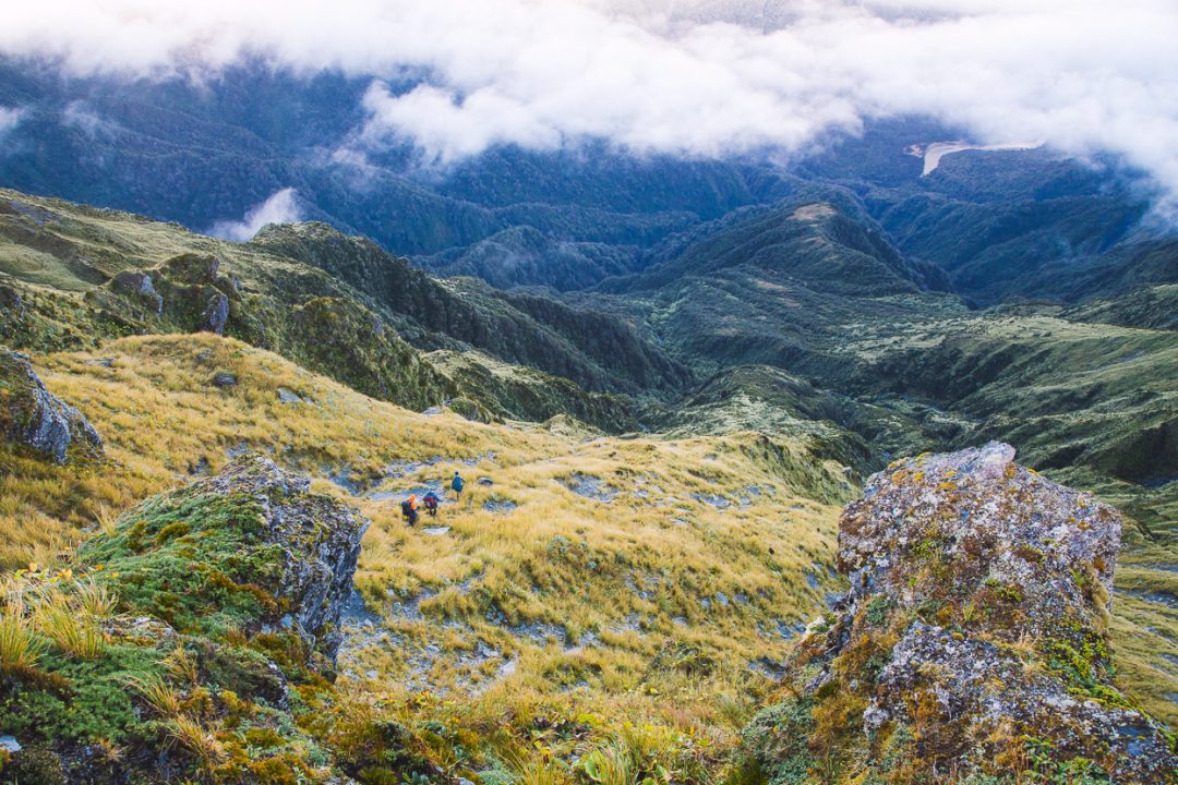 Tramping in the Toaroha, Mungo &#038; Kokatahi Catchments, West Coast, Highlux Photography