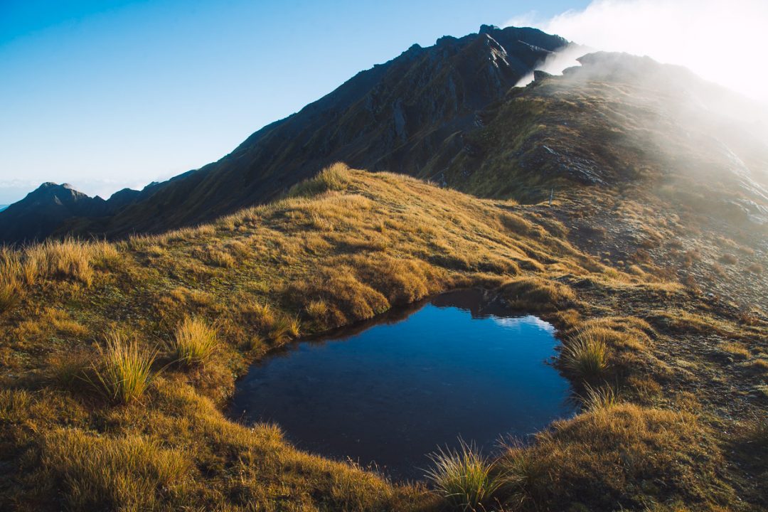 Tramping in the Toaroha, Mungo &#038; Kokatahi Catchments, West Coast, Highlux Photography