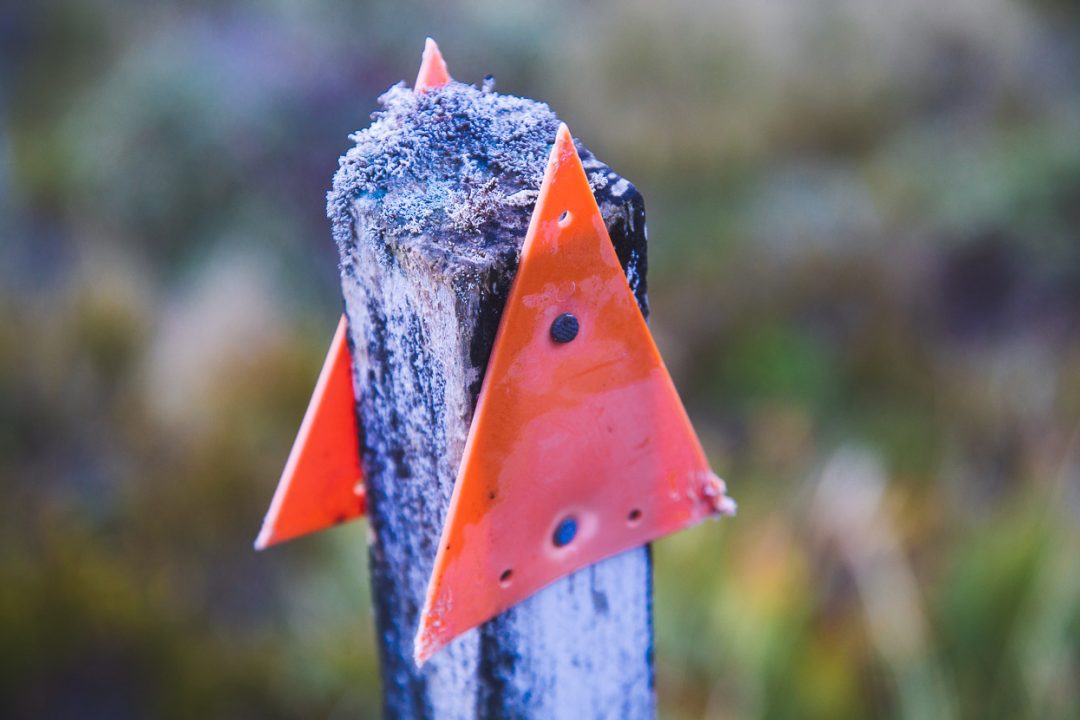 Tramping in the Toaroha, Mungo &#038; Kokatahi Catchments, West Coast, Highlux Photography