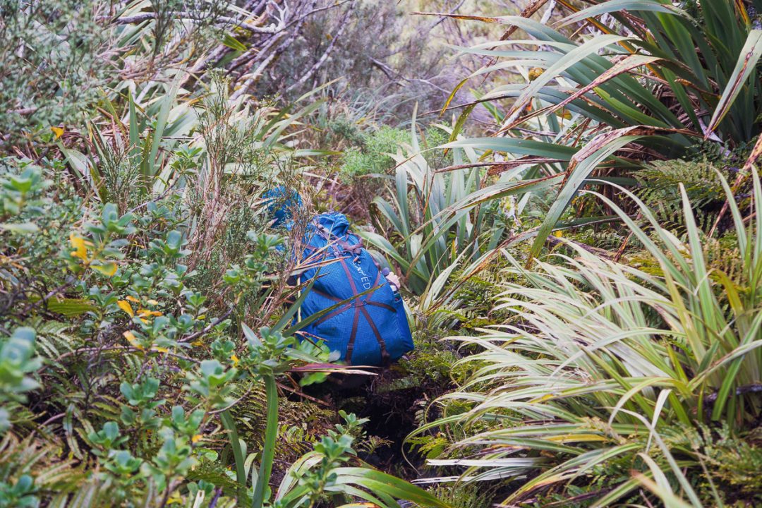 Tramping in the Toaroha, Mungo &#038; Kokatahi Catchments, West Coast, Highlux Photography