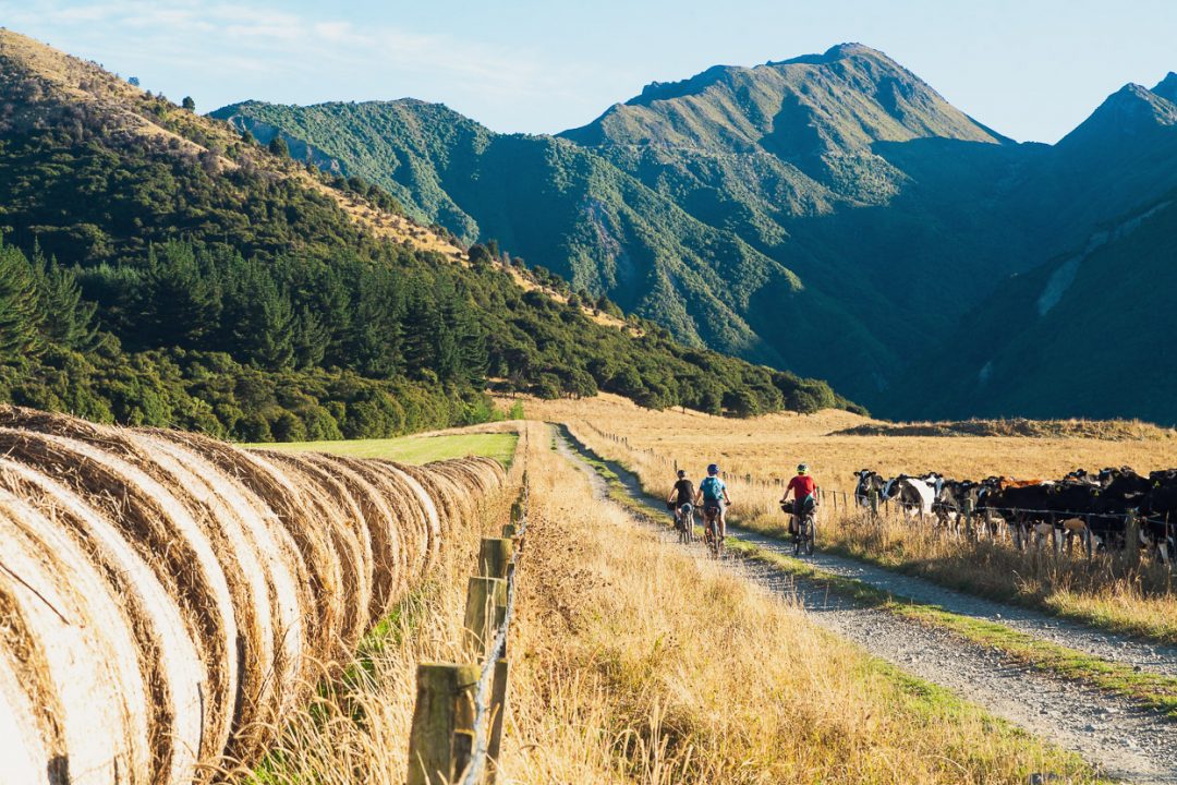 bikepacking clarence valley