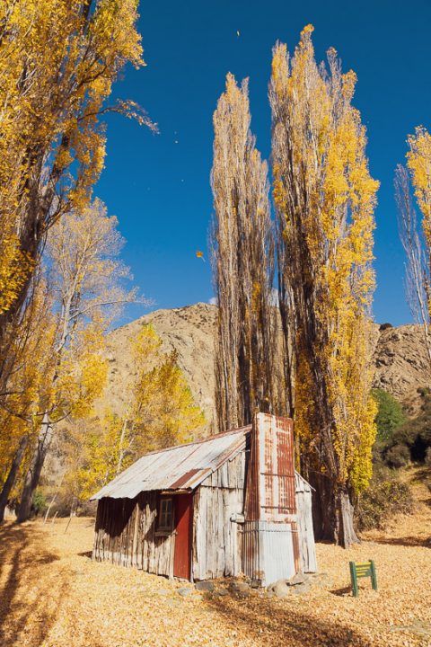 black spur slab hut