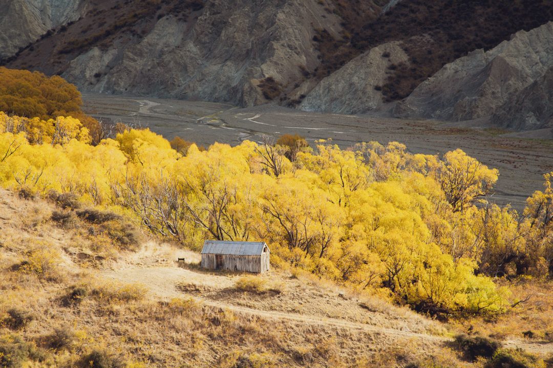 old willows hut